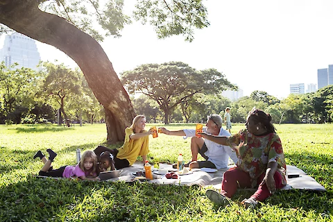 The Four Best Activities for Summer