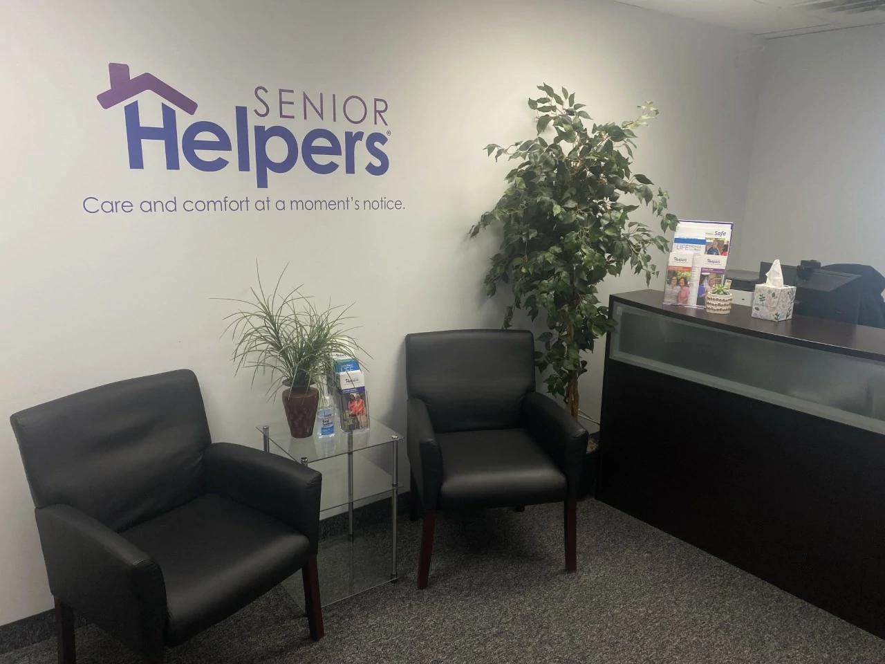 We love bringing the green into our office, especially since we are in Minnesota!