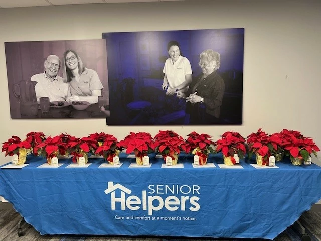 Poinsettia flowers for our caregivers