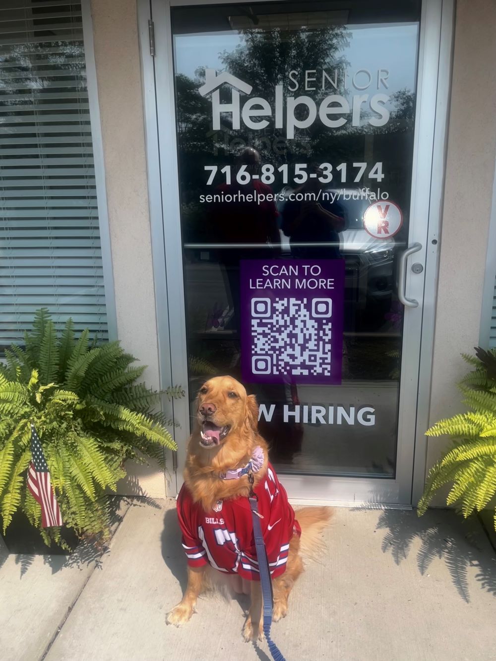 Our office coordinators dog, Peaches, came to visit the office in her Bills gear!